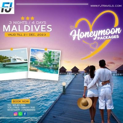 Cheap Airline Tickets from Canada & USA | FJ Travels & Tours